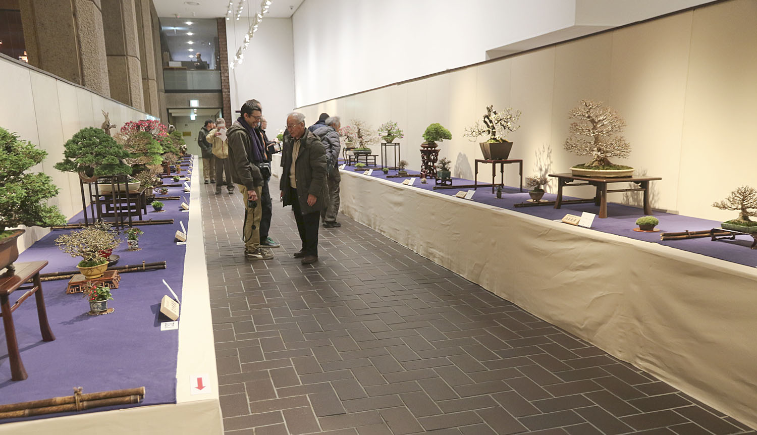 2016 90th Kokufu Bonsai Exhibition Report 2 Valavanis Bonsai Blog