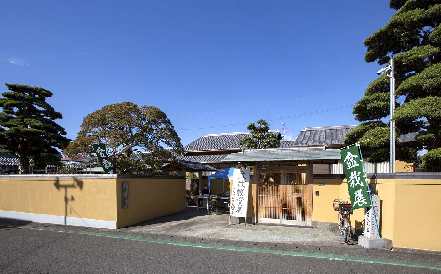 50th Anniversary Bonsai Exhibition Valavanis Bonsai Blog
